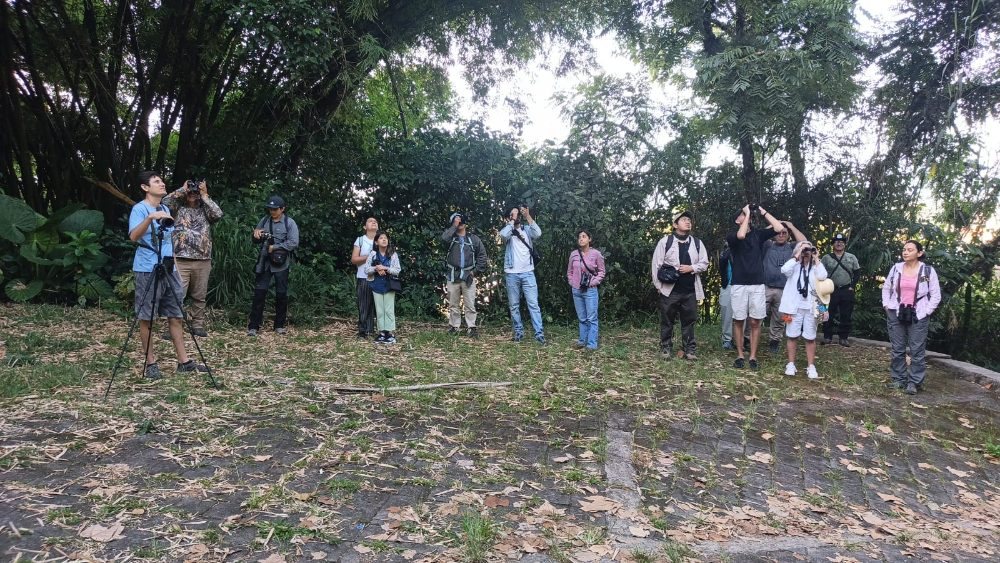 Pajareada del domingo en el Senderito · foto: Aurelio Molina Hernández