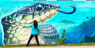 Mural de la serpiente · entrada al ANP