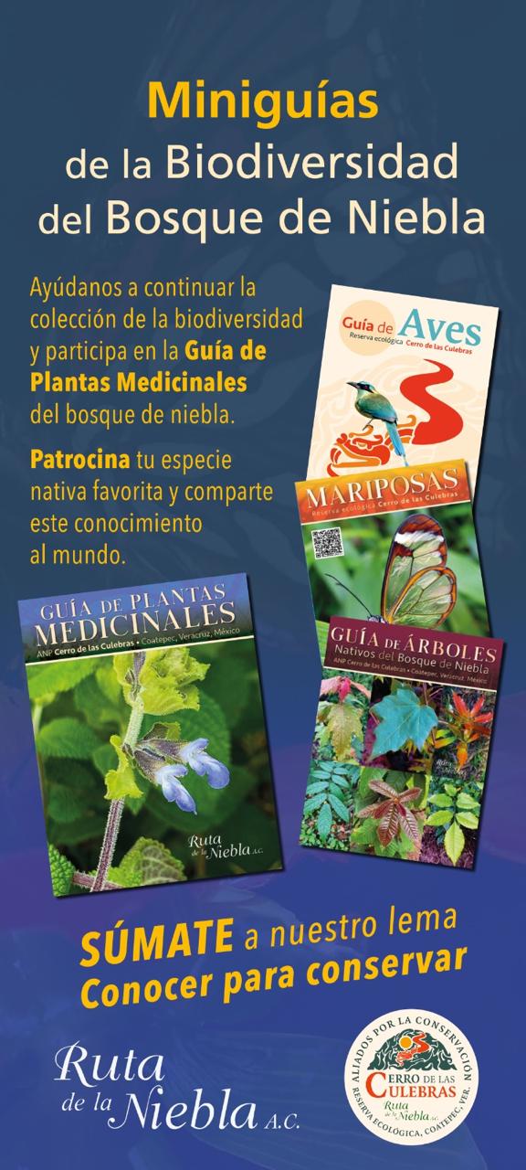 Cartel · Miniguías de la Biodiversidad del Bosque de Niebla